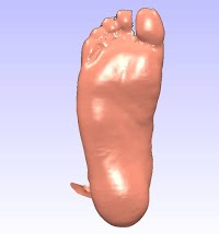 Precision Made Orthotics   Foot Specialists and Podiatry 699730 Image 4